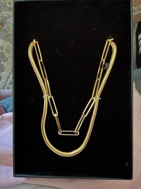 Badgley Mischka Gold Layered Paperclip and Snake Chain Necklace